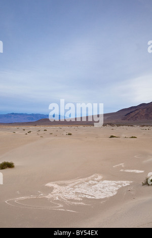 Dried mud cracks in the ancient lakebed of the Mesquite Flat Sand Dunes in Death Valley National Park, California, USA. Stock Photo