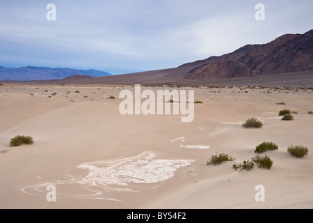 Dried mud cracks in the ancient lakebed of the Mesquite Flat Sand Dunes in Death Valley National Park, California, USA. Stock Photo