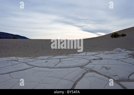 Dried mud cracks in the ancient lakebed of the Mesquite Flat Sand Dunes in Death Valley National Park, California, USA. Stock Photo