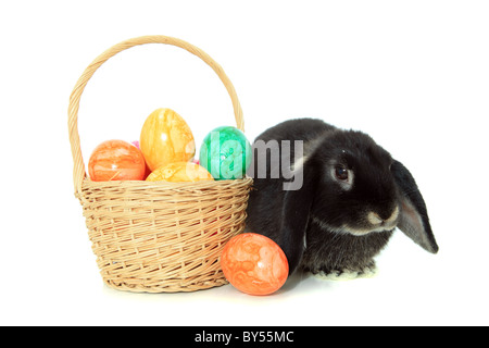 Cute black easter bunny with colored eggs. All on white background. Stock Photo