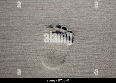 Single footprint in the sand Stock Photo