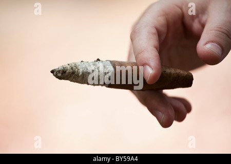 Detail of a hand holding a cigar Stock Photo