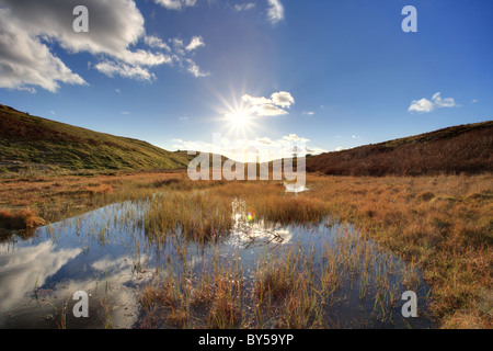 Long Moss tarn, looking directly into the sun. Flare, Autumn near Torver, Coniston. Lake District. Stock Photo