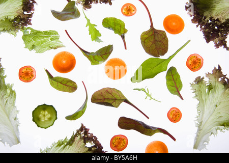 Various fruits and vegetables arranged on a lightbox Stock Photo
