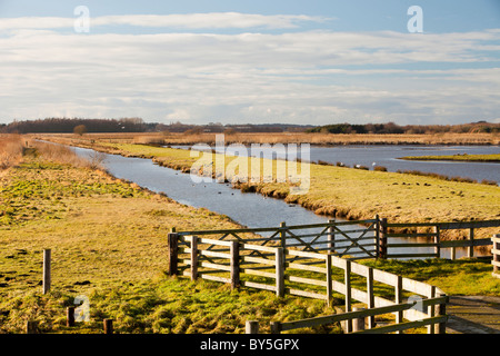 Martin Mere bird reserve near Ormskirk, Lancashire, UK. Stock Photo