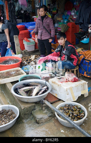 fish sell in a market. Sapa, Lao Cai province, Vietnam. Stock Photo