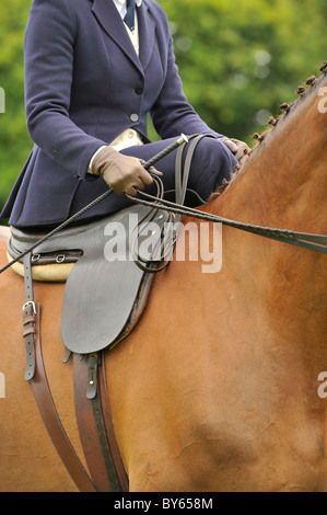 sidesaddle rider on a horse Stock Photo