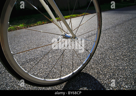 Bicycle Bearings Bearing Bike Stock Photo 1246361653