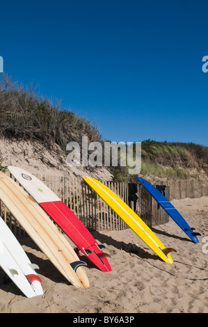 Surfboards Resting on Fence Stock Photo