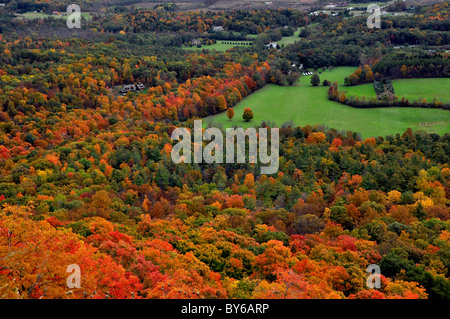 Autumn colors on John Boyd Thacher State Park, New York. Stock Photo