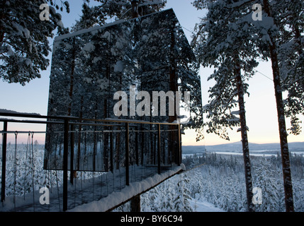 The treehotel, architecture designed rooms in trees Stock Photo