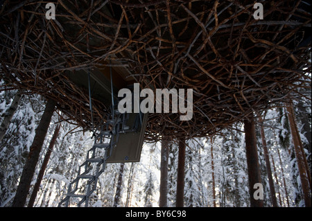 The treehotel, architecture designed rooms in trees Stock Photo