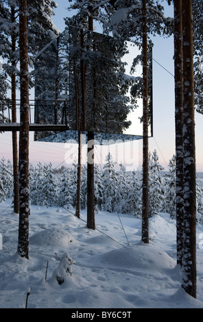 The treehotel, architecture designed rooms in trees Stock Photo