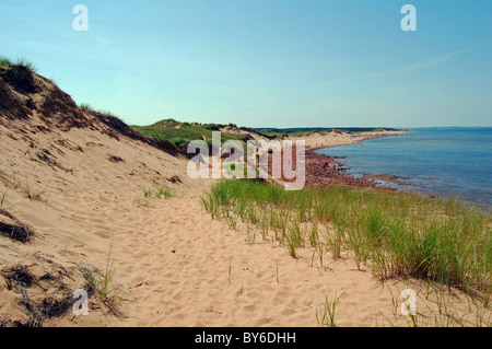 beach and dunes at cavendish Stock Photo