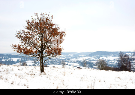 Snow covered view across the Painswick Valley near Edge, Gloucestershire, England, United Kingdom Stock Photo