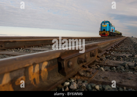 Nenet reindeer herders in the Western Siberian Yamal Peninsula in Russia Stock Photo