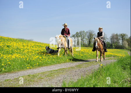 Two women riding horses on a track through a meadow with dandelions, Lindau, lake Constance, Bavaria, Germany Stock Photo