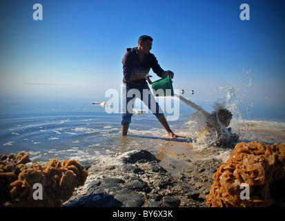 Man making 'Desert Roses' (From gypsum and mineral deposits) on the Chott el Jerid salt flats, Tunisia Stock Photo