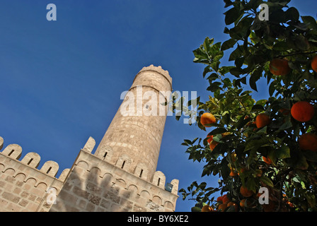 Sousse ribat and orange tree, Tunisia Stock Photo