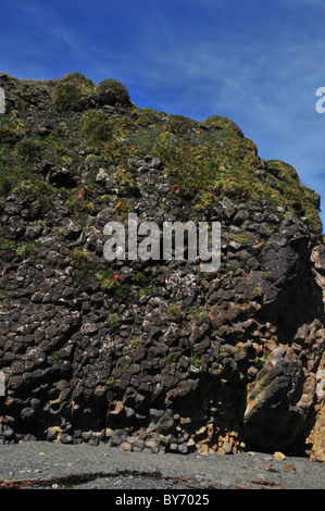 Blue sky portrait of basaltic cliff, with sub-vertical columnar joints or cooling cracks, Pacific Coast, Chiloe Island, Chile Stock Photo