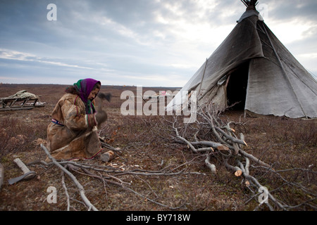 Nenet reindeer herders in the Western Siberian Yamal Peninsula i8n Russia Stock Photo