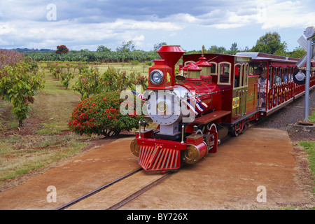 People inside Pineapple Express Train at the Dole Plantation Hawaii, Oahu, Hawaii, USA, America Stock Photo