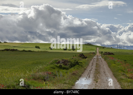 Landscape near Castellanos de Castro, near Burgos, Camino Frances, Way of St. James, Camino de Santiago, pilgrims way, UNESCO Wo Stock Photo