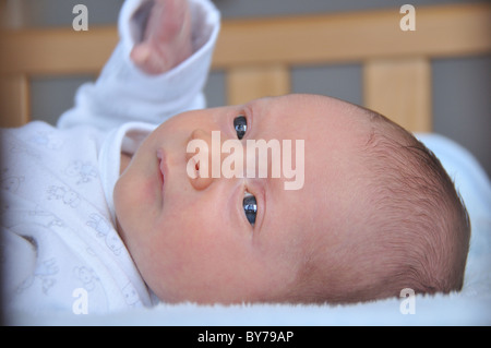 Close up of newborn baby face Stock Photo