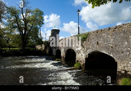 Bridge over the River Suir, Golden, County Tipperary, Ireland Stock Photo