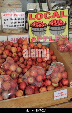 Georgia Robertstown,produce stand,farmers market,local products,fruit,apples,red delicious,bushel,peck,sign,price,health,GA101015019 Stock Photo