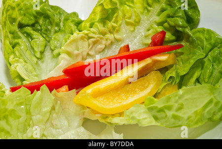 Small light salad of red and yellow peppers and lettuce. Stock Photo