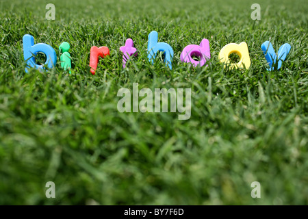 The word 'birthday' spelled out in colourful plastic letters, on green grass, taken from a low angle Stock Photo