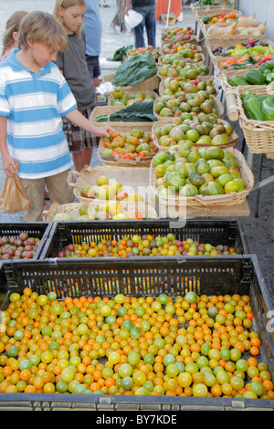 Tennessee Chattanooga,Main Street Farmers Market,sustainable food,seasonal,locally grown produce,vegetables,organic,farm to table,heirloom,cherry toma Stock Photo