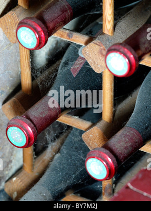 Dusty cobweb covered wine bottles Stock Photo