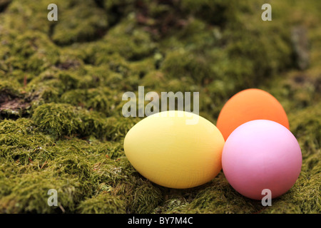 colorful easter eggs on green moss Stock Photo