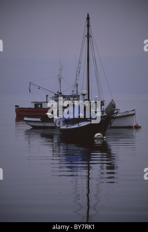 Moored sailing boats on a foggy morning, Brentwood Bay, Vancouver Island, Canada Stock Photo