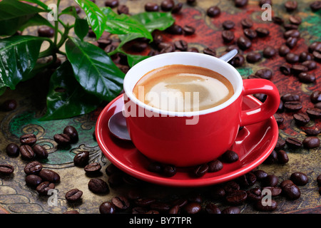 Cup of coffee with smooth brown foam Stock Photo