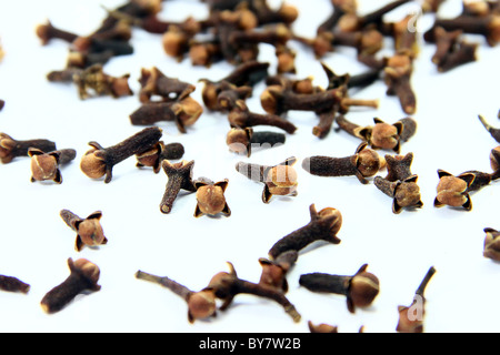 Cloves are the aromatic flower buds of a tree in the family Myrtaceae, Syzygium aromaticum. Stock Photo