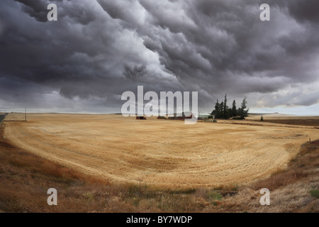 Huge thundercloud on fields of Montana Stock Photo
