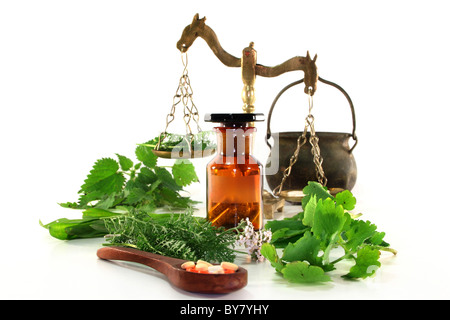 fresh herbs and spices on a white background Stock Photo