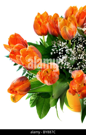 colorful bouquet of tulips on a white background Stock Photo