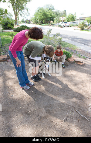 Animal trainer instructs eleven year old child to pat and reward dog for good behavior. Stock Photo