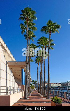 The Downtown Tampa Rivewalk District Florida in the heart of the city on the Hillsborough River Stock Photo