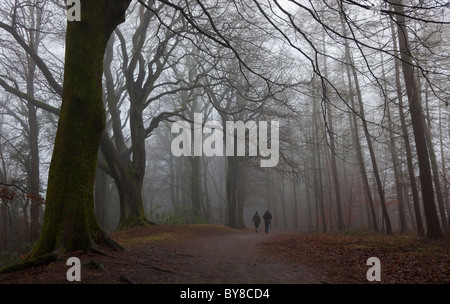 Man and woman walking on a forest path, through mist covered trees in winter. Dean Park, Kilmarnock, Ayrshire, Scotland Stock Photo