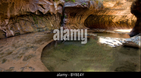 The Subway in Zion National Park panorama during the daytime after a long hike Stock Photo