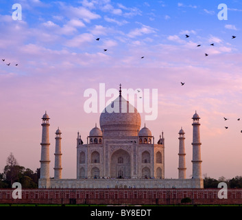 India, Uttar Pradesh, Agra, birds flying near Taj Mahal in late evening light Stock Photo