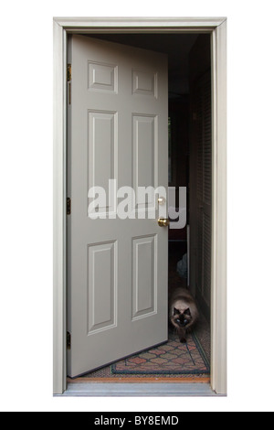 An open door with a cat walking out.
