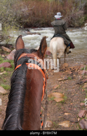 two horses and one rider following trail towards river Stock Photo