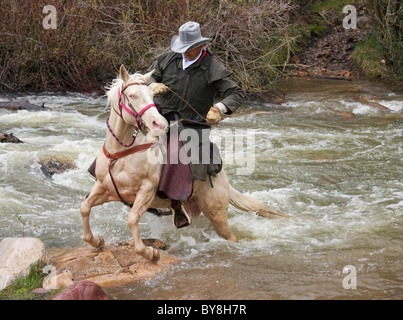 cowboy riding white horse across swollen river Stock Photo