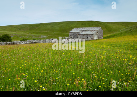 Stone barn and wildflower meadow near Cray, Wharfedale Stock Photo